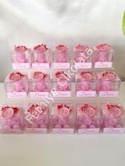 Mika Kutulu Ayıcık Mum